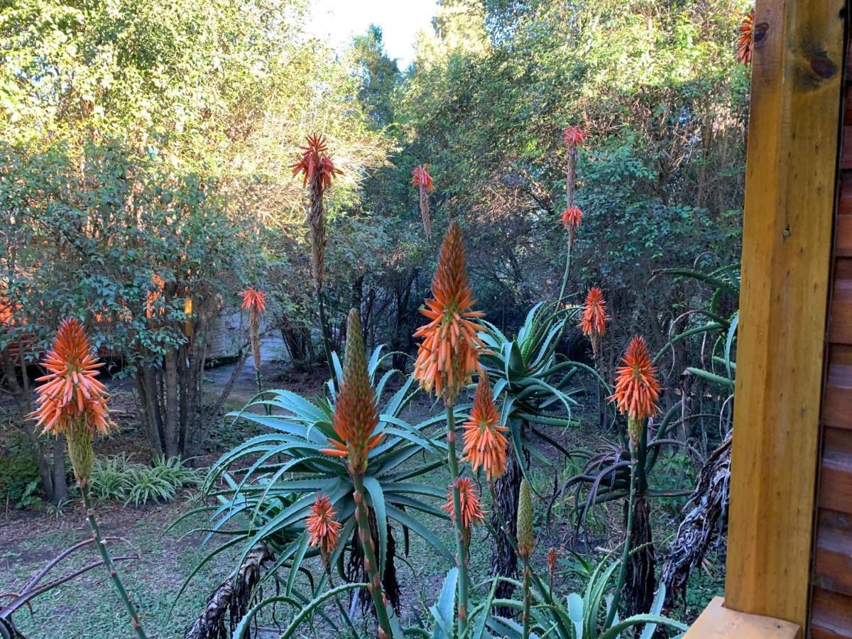 Apartment Mad About Saffron Stormsrivier